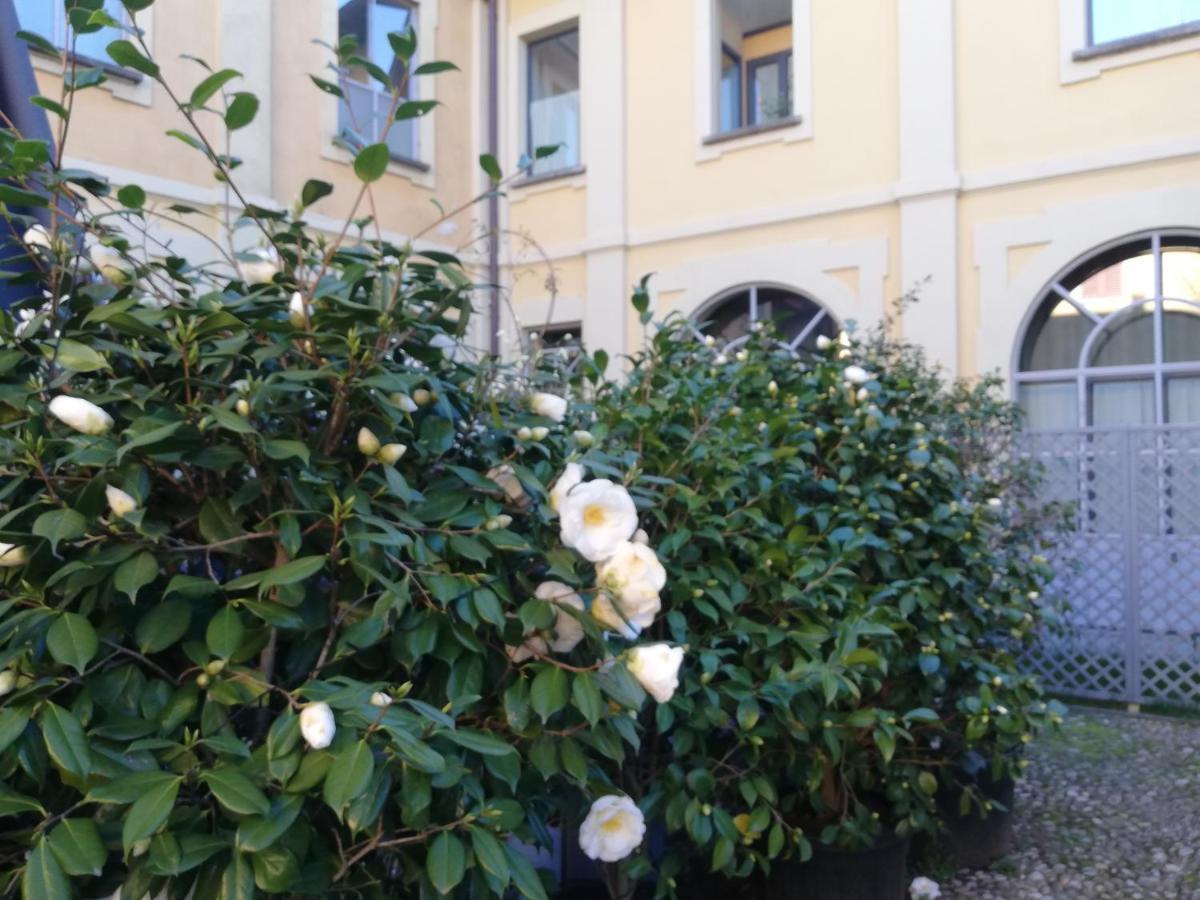 Lisander B&B Suite And Terrace Seregno Exteriör bild